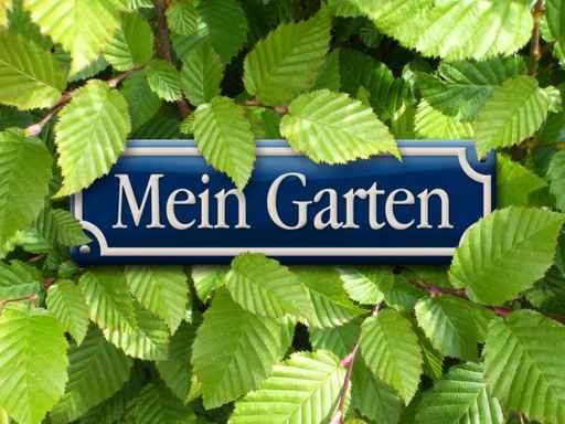 My Garden Wall Decal