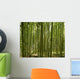 A beautiful bamboo grove in Kyoto, Japan Wall Mural