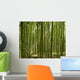 A beautiful bamboo grove in Kyoto, Japan Wall Mural