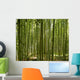 A beautiful bamboo grove in Kyoto, Japan Wall Mural