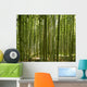 A beautiful bamboo grove in Kyoto, Japan Wall Mural