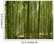 A beautiful bamboo grove in Kyoto, Japan Wall Mural