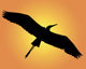 Black Silhouette Heron Orange Wall Mural