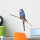Little Budgie Parrot Wall Decal