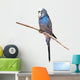 Little Budgie Parrot Wall Decal