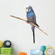 Little Budgie Parrot Wall Decal