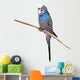 Little Budgie Parrot Wall Decal