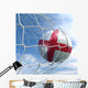 Soccerball Net Wall Mural