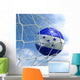 Soccerball Net Wall Mural