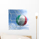 Soccerball Net Wall Mural