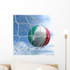 Soccerball Net Wall Mural
