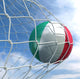 Soccerball in net Wall Mural