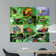 Butterfly Montage Wall Mural