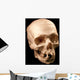 Skull Wall Mural
