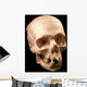 Skull Wall Mural