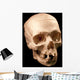 Skull Wall Mural