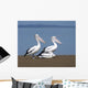 Pelicans Wall Mural