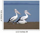 Pelicans Wall Mural