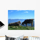 Cows Allgau Alps Wall Decal