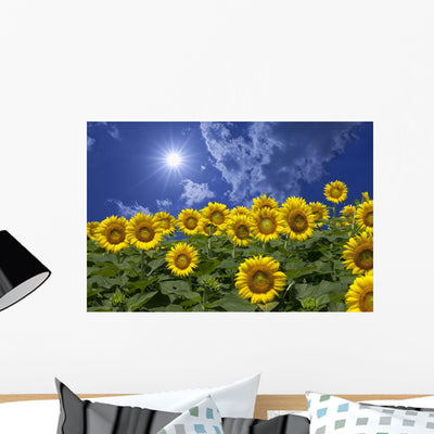 Sunflower and Clouds and Wall Mural shown on a wall