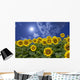 Sunflower and clouds and sun Wall Mural