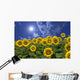 Sunflower and clouds and sun Wall Mural