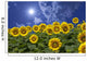 Sunflower and clouds and sun Wall Mural