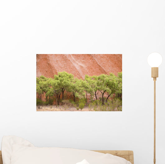 Eucalyptus trees at Ayer's Rock in Uluru-Kata Tjuta National Park Wall Mural