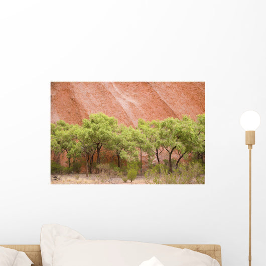 Eucalyptus trees at Ayer's Rock in Uluru-Kata Tjuta National Park Wall Mural