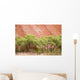 Eucalyptus trees at Ayer's Rock in Uluru-Kata Tjuta National Park Wall Mural