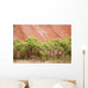 Eucalyptus trees at Ayer's Rock in Uluru-Kata Tjuta National Park Wall Mural