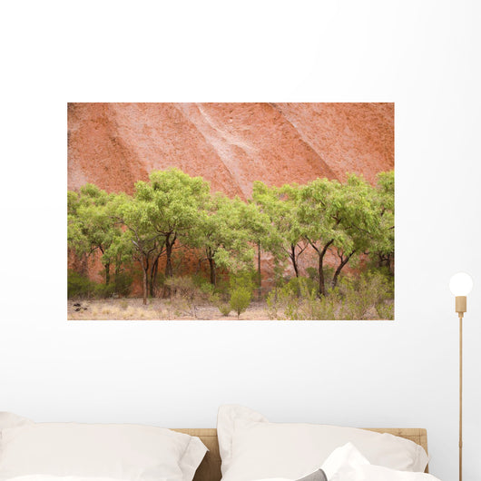 Eucalyptus trees at Ayer's Rock in Uluru-Kata Tjuta National Park Wall Mural