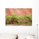 Eucalyptus trees at Ayer's Rock in Uluru-Kata Tjuta National Park Wall Mural