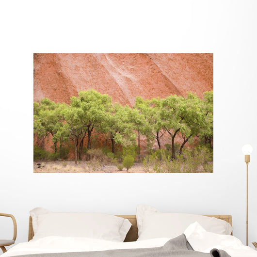 Eucalyptus trees at Ayer's Rock in Uluru-Kata Tjuta National Park Wall Mural