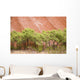 Eucalyptus trees at Ayer's Rock in Uluru-Kata Tjuta National Park Wall Mural