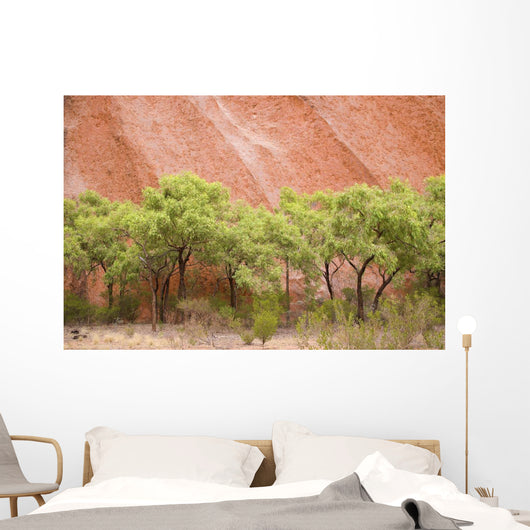 Eucalyptus trees at Ayer's Rock in Uluru-Kata Tjuta National Park Wall Mural