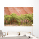 Eucalyptus trees at Ayer's Rock in Uluru-Kata Tjuta National Park Wall Mural