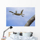 Henkel's leaf-tailed gecko in mid leap Wall Mural