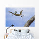 Henkel's leaf-tailed gecko in mid leap Wall Mural