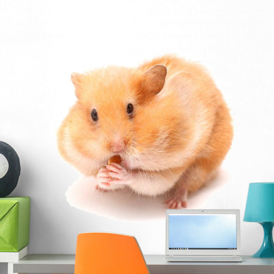 Funny Hamster Wall Decal shown on a wall