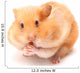 Funny Hamster Wall Decal