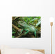 Iguana Resting on Drift Wood Wall Mural