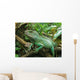Iguana Resting on Drift Wood Wall Mural