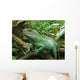 Iguana Resting on Drift Wood Wall Mural