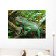 Iguana Resting on Drift Wood Wall Mural