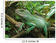 Iguana Resting on Drift Wood Wall Mural