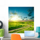 Summer landscape with green grass, road and dramatic sky Wall Mural