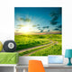 Summer landscape with green grass, road and dramatic sky Wall Mural