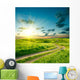 Summer landscape with green grass, road and dramatic sky Wall Mural