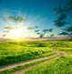Summer landscape with green grass, road and dramatic sky Wall Mural